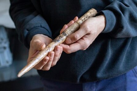 Hallan las herramientas humanas más antiguas de huesos de ballena: de hace 20.000 años