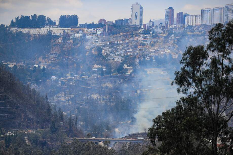 Quito, la capital ecuatoriana, se declaró en situación de emergencia debido a los 27 incendios forestales que ardieron el martes, algunos de los cuales se mantienen y cubren la ciudad de humo y cenizas.
