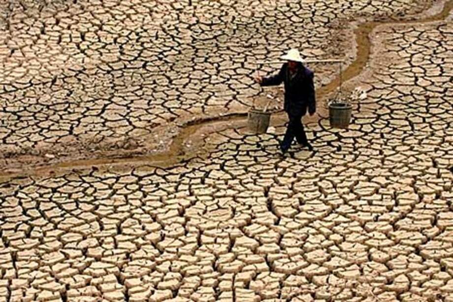 Escasez de agua pone en riesgo producción de alimentos, según la FAO