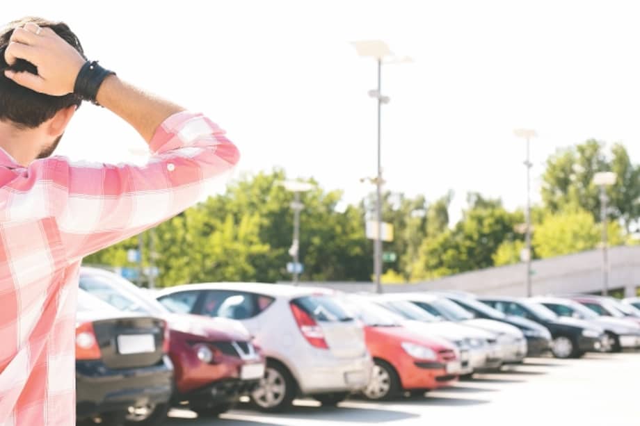 El nombre NIDOO hace analogía a la seguridad de las aves en sus nidos, de la que disfrutarán los vehículos que hagan uso de este servicio. / iStock