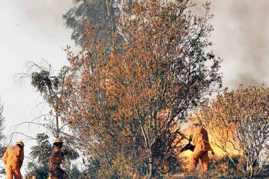 Incendio consume unas 100 hectáreas de bosque nativo en Boyacá