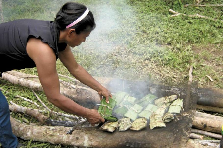 Patarasca de pescado del río Amazonas