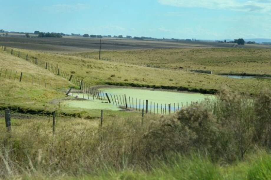 Farc y Gobierno priorizarán las zonas afectadas por el conflicto armado. / Archivo