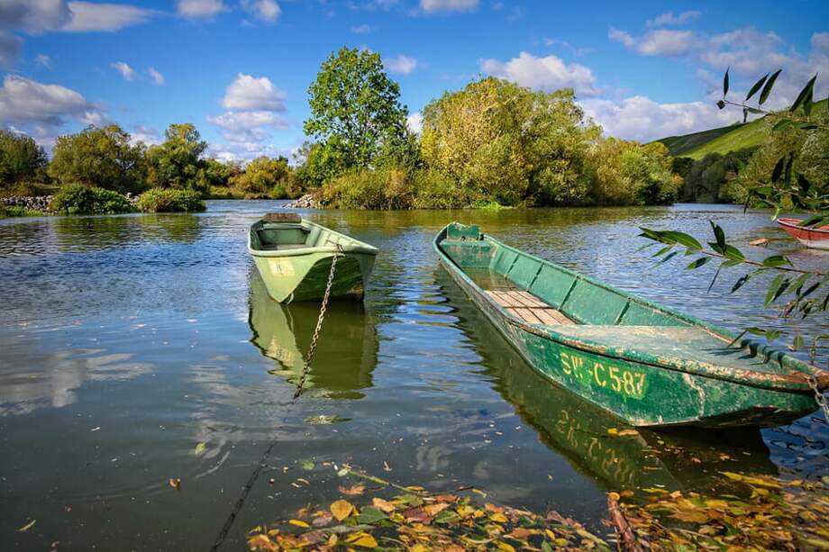 Oscar Seidel Morales ha escrito libros como "En el mar de sus recuerdos",“Max Seidel El Pedagogo Alemán","El dulce olor de Puerto Perla" y "¿Hasta cuándo me persigues?" / Cortesía