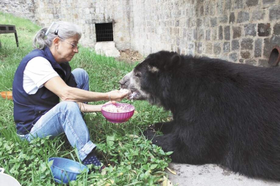 El zoológico de Santa Cruz, en Cundinamarca, alberga a cerca de 700 animales. / Archivo