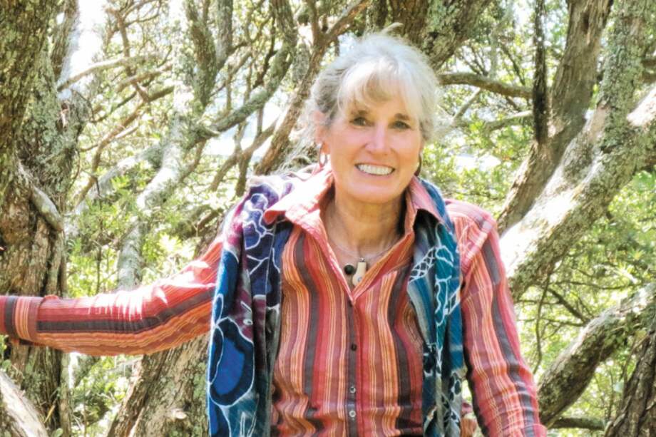 Sarah Blaffer Hrdy es profesora emérita de la Universidad de California en Davis, Estados Unidos. / Cortesía Dan Hrdy