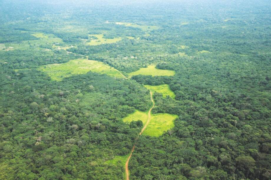 Imagen aérea de la trocha que une Calamar con Miraflores y se convertiría en una vía pavimentada.