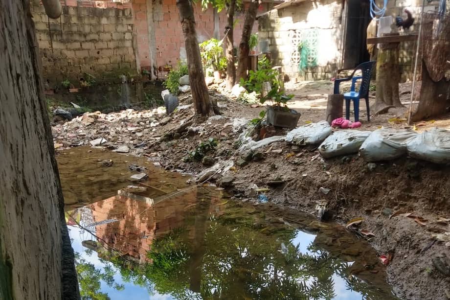 Las aguas represadas son fuentes de mosquitos y de malos olores.
