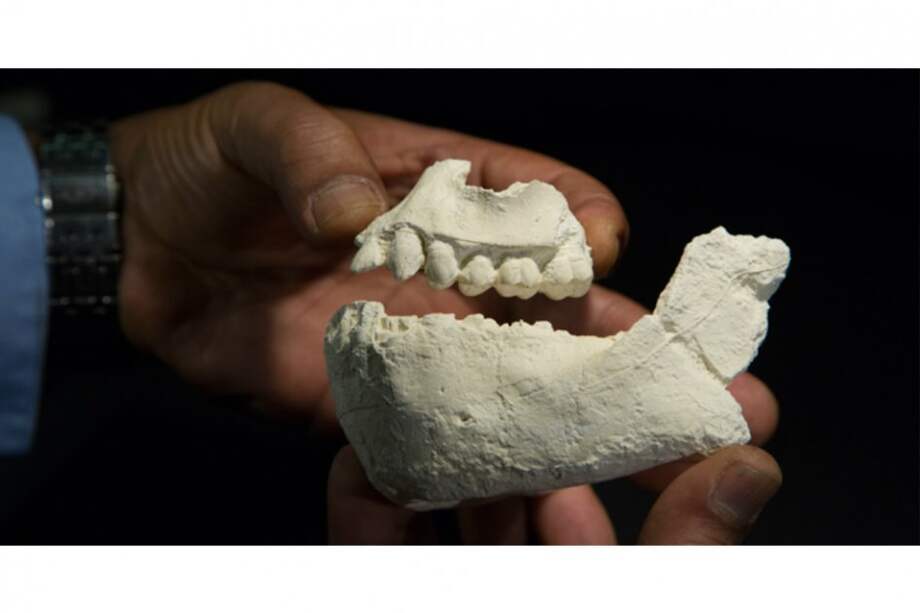 Cleveland Museum of Natural History / Cleveland Museum of Natural History
