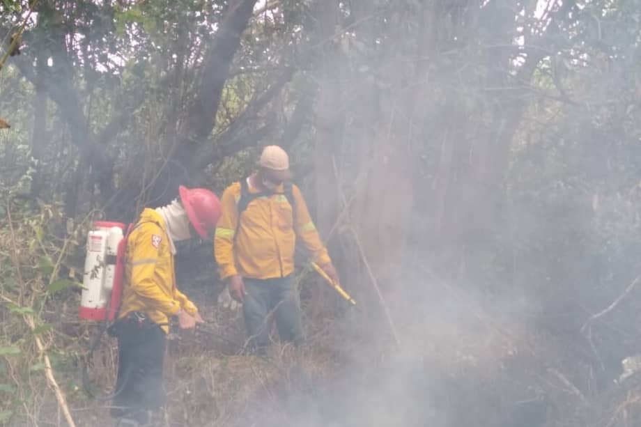 El incendio ha ocasionado la quema de material vegetal llamado enea, situación que ha ocasionado nubes de humo densas, que se ven desde Barranquilla. / Cortesía Parques Naturales