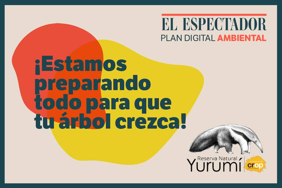 La Suscripción Digital Plan Ambiental con El Espectador, incluye la siembra de un árbol a tu nombre en la Reserva Natural Yurumí. Conoce el proceso de siembra, fechas y planeación.