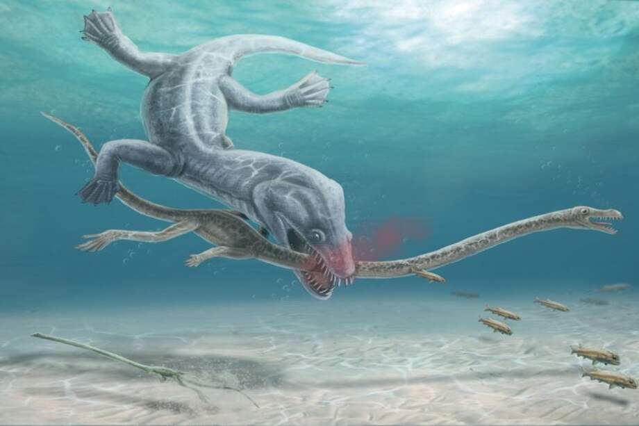 Ilustración del Tanystropheus.