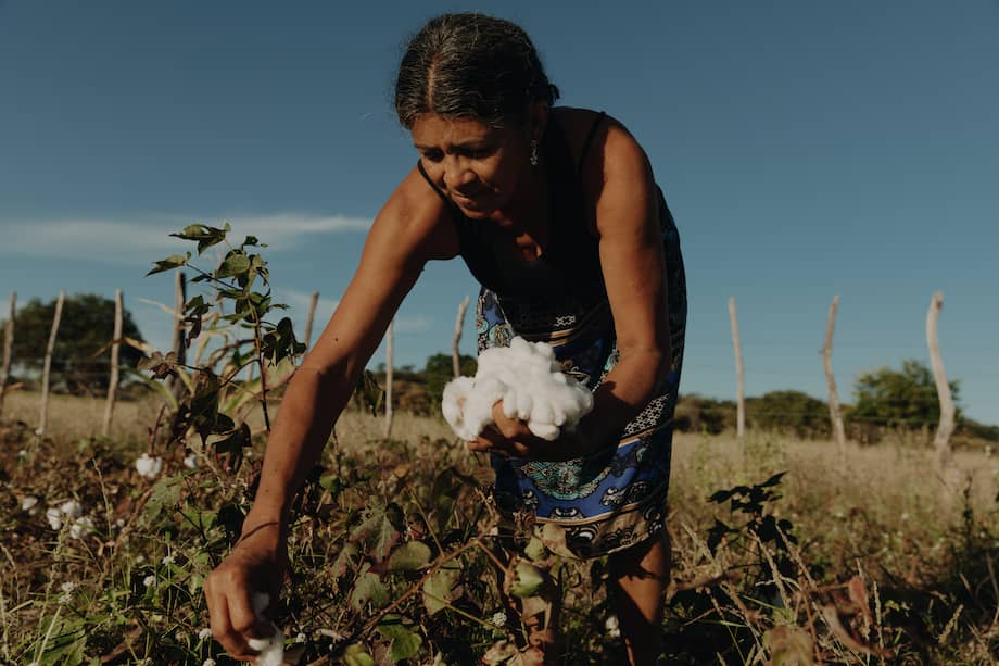 En 2023 VEJA invitó al equipo audiovisual a recorrer la Amazonía, el semiárido y el sur de Brasil con libertad creativa para documentar el funcionamiento de su cadena productiva.