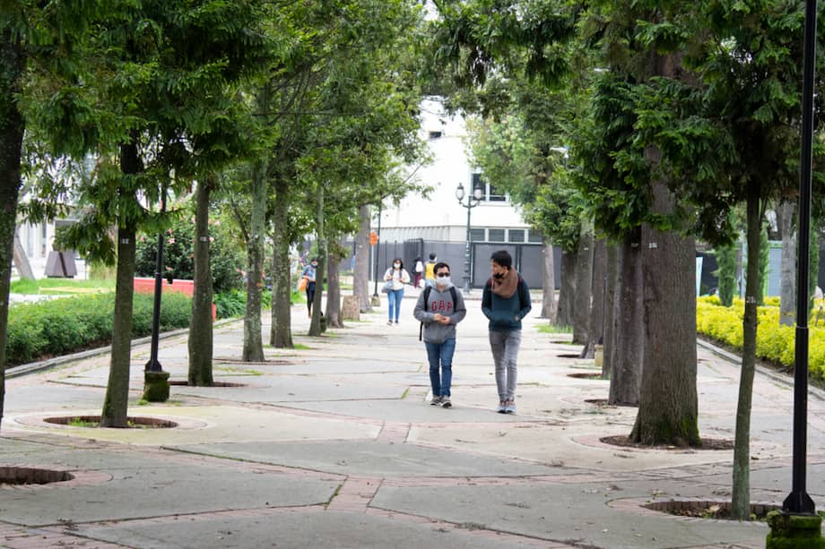 De una muestra de 11.423 estudiantes, el 66 % permanecieron activos y el 33 % abandonaron la carrera.