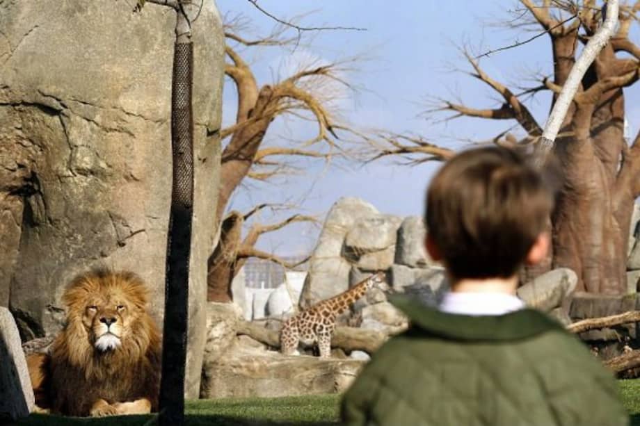 Cómo superar los miedos y las manías