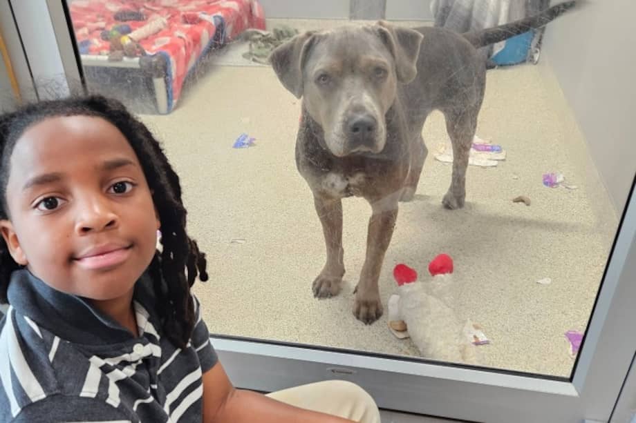 Nehemiah se convirtió en el primer niño en alcanzar las 100 horas de lectura para los animales de la Jacksonville Humane Society.
