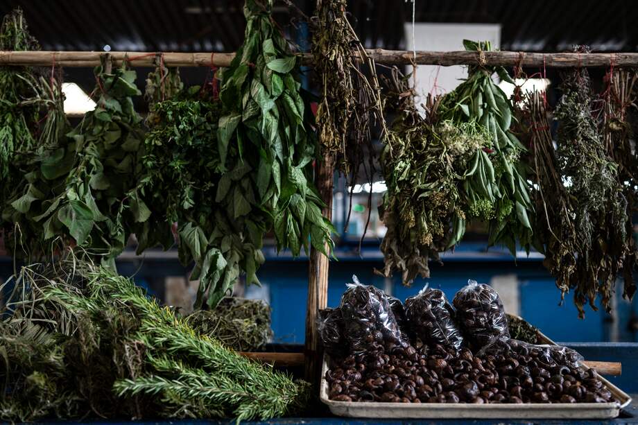 Las mujeres en Venezuela han tomado brebajes con semilla de aguacate, hojas de "mala madre" para tratar de interrumpir su embarazo, pero ese método no está avalado.