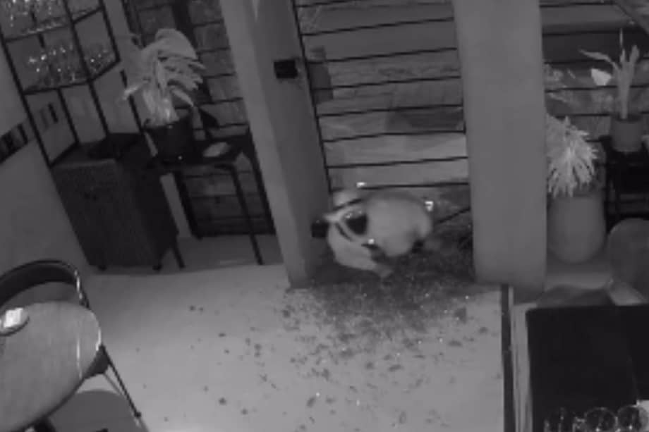 El sujeto rompió la puerta de vidrio.