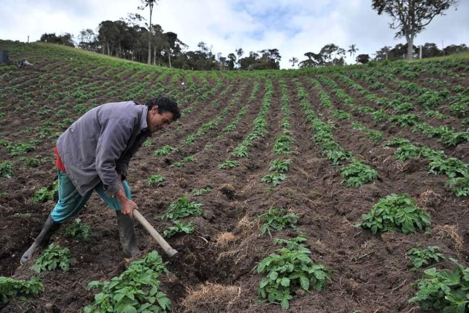 Archivo El Espectador