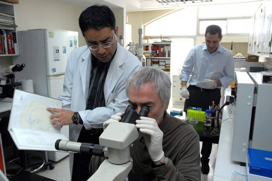 Reino Unido autoriza manipulación de embriones humanos por primera vez