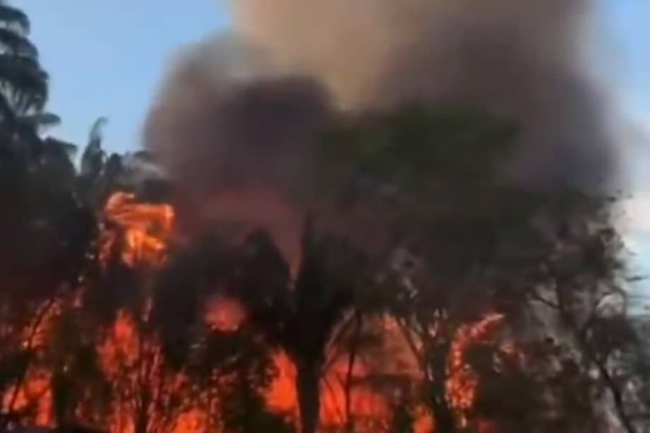 Imagen de video de redes sociales de los incendios forestales en San Luis. Las llamas se concentran en el corregimiento de Payandé y en la vereda Tomogó.