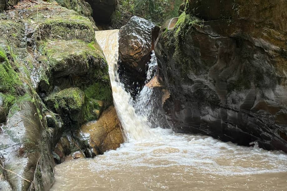 Protección a microcuencas en la región.