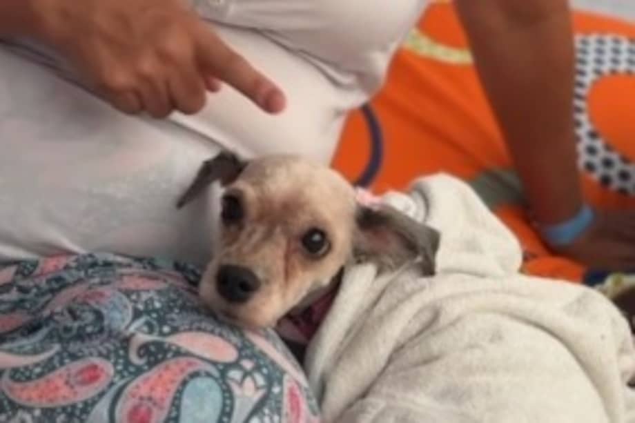Jackeline y Brownie se encontraban en Pereira cuando ocurrió el terremoto. Su historia fue conocida en uno de los albergues temporales habilitados después de la emergencia.