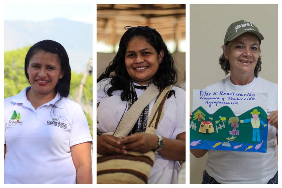 (De izquierda a derecha: Iseth Montero, Silvia Rangel y Claudia Valencia) Desde galpones para gallinas hasta el tejido de mochilas arhuacas, las mujeres en esta zona PDET buscan construir una paz con enfoque de género.
