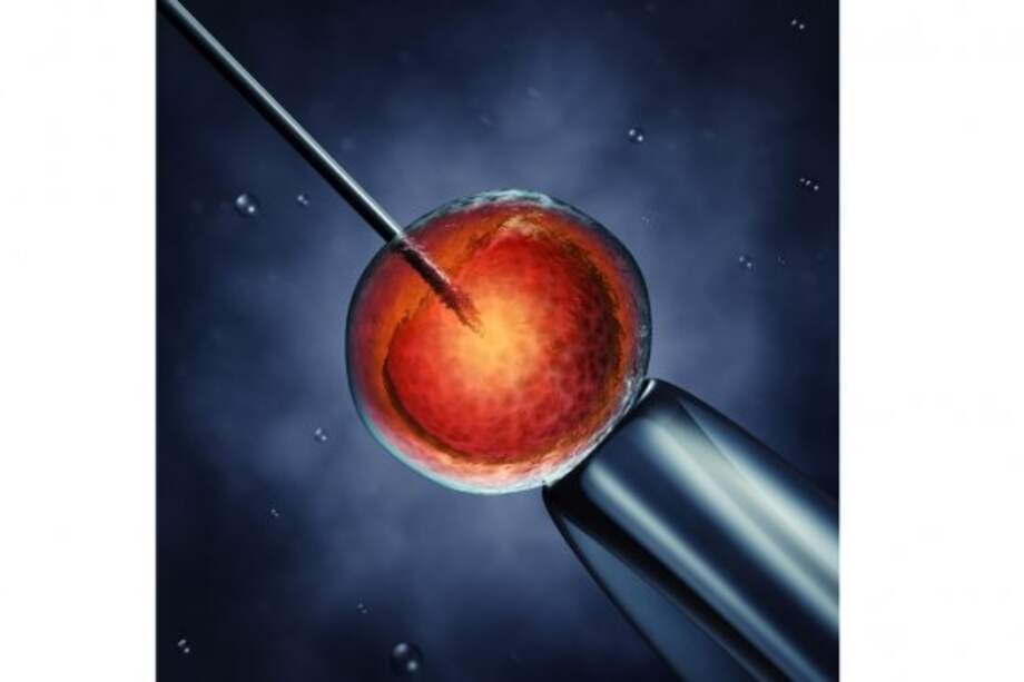 Fertilización in vitro. / 123rf