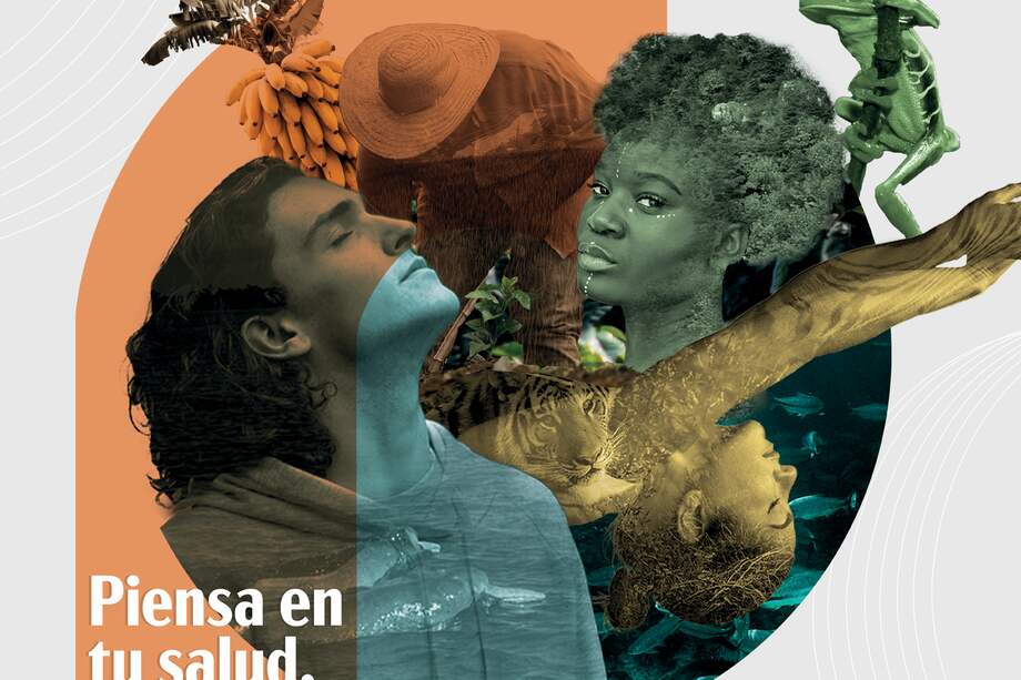 Fascículos BIBO 2022