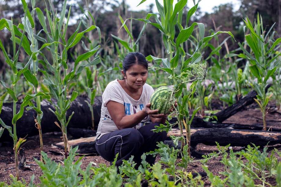 En abril de 2021 fueron 2′908.000 empleos en el agro y pasaron a ser 3′081.000 en el mismo mes de este año.