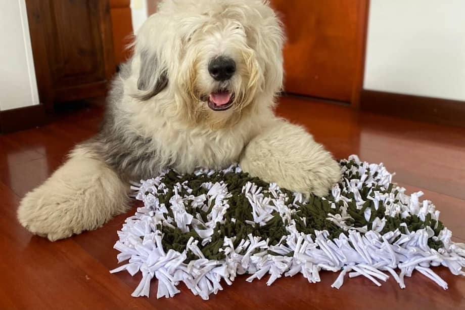 Mambo, cliente de "Luna Magic Rugs".