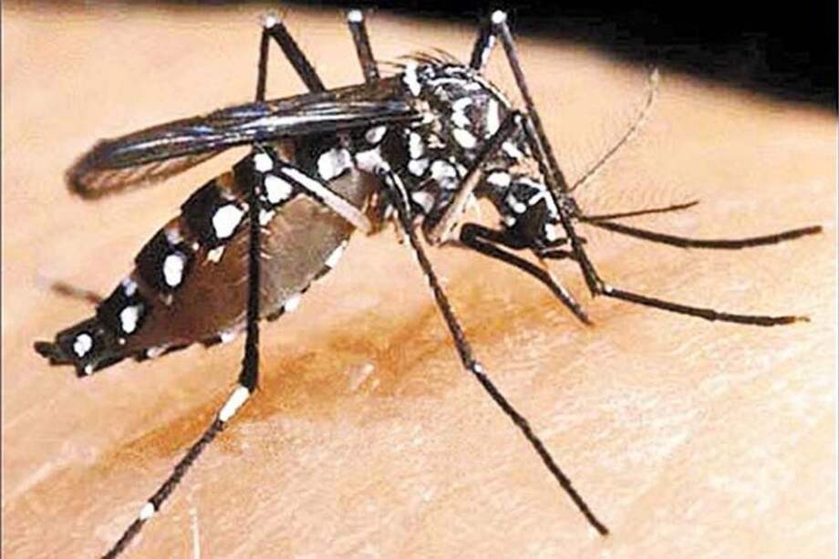 Alarma en Cúcuta por propagación del dengue
