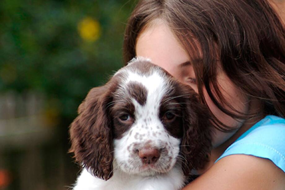 10 consejos para cuidar a tu nuevo cachorro