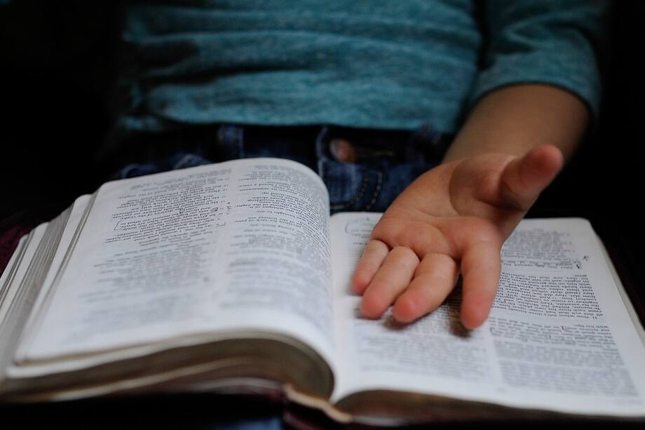 A los niños preséntales el libro que leerán, el título y autor. Pregunta si lo conocen o se imaginan de qué se trata. Si el libro tiene ilustraciones, permite que los niños las vean a medida que vas leyendo.