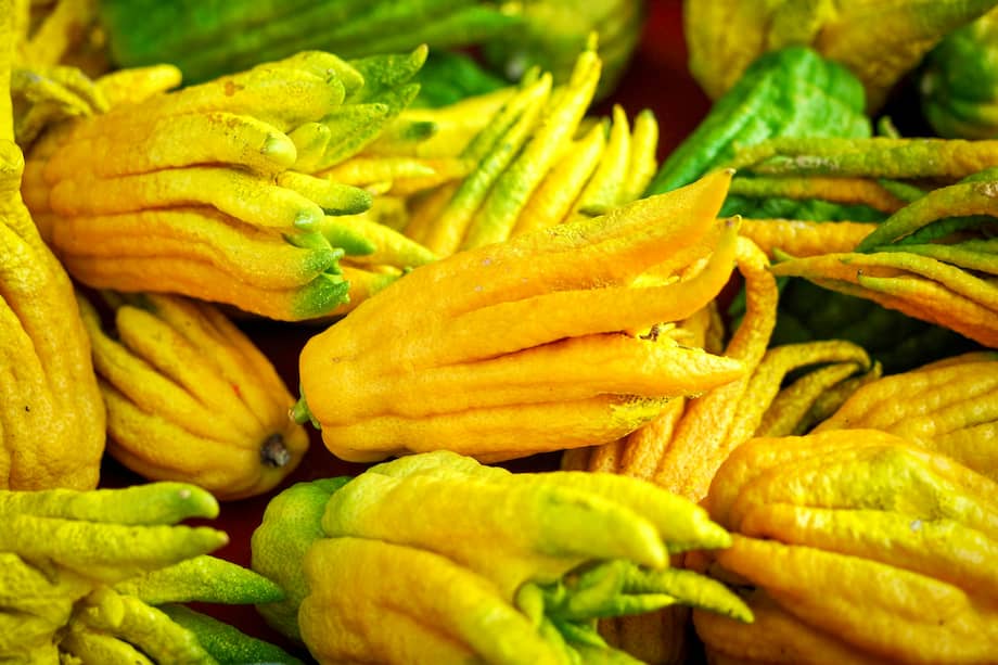La mano de Buda es un limón originario de Asia