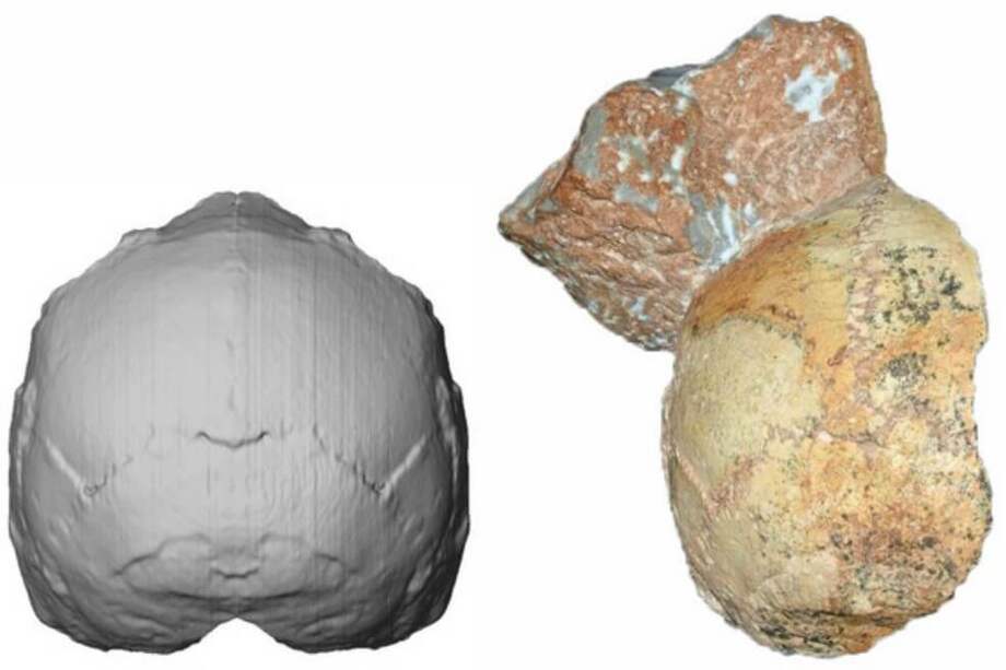 Imágenes del cráneo Apidima 1. / Agencia Sinc / Katerina Harvati, Eberhard Karls University of Tübingen