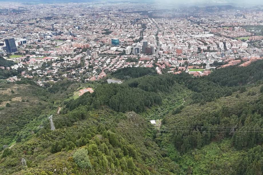 Zona de interés ecológico en los cerros orientales.