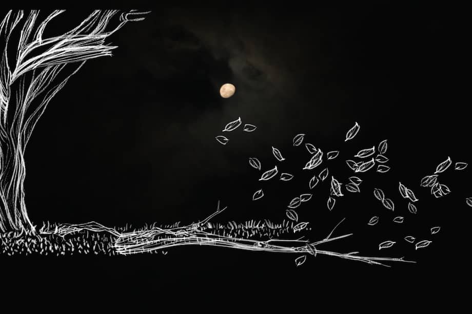 Muestra de una de las animaciones presentes en “El Árbol de Matías”, documental dirigido por Pilar Perdomo.