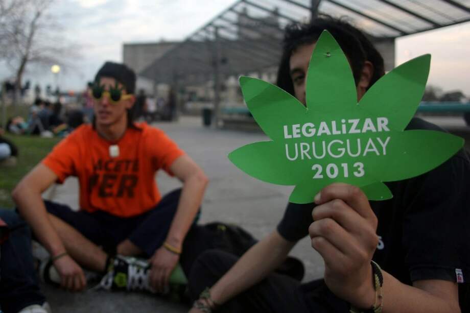 Regulación no aumentó el consumo de marihuana en Uruguay
