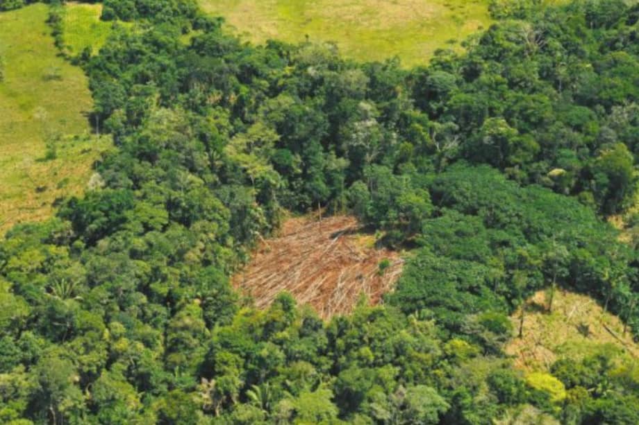 En la Amazonia aún se concentra cerca de la mitad de la deforestación nacional. / Herminso Ruiz