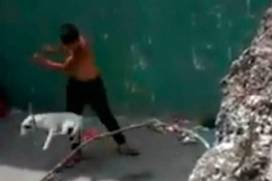 Archivo El Espectador