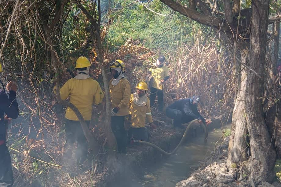 Incendio en la Vía Parque Isla de Salamanca ya afecta 30 hectáreas y podría extenderse hasta 100, alertó Parques Nacionales. /Parques Nacionales Naturales