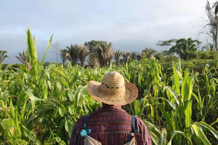 458 defensores de derechos humanos fueron asesinados entre el 2009 y el 2016 en Colombia/ Cortesía Somos Defensores.