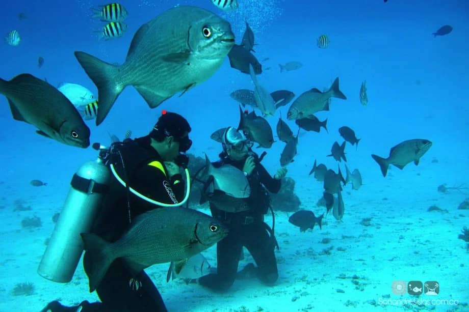 El buceo de una de las actividades principales que buscan los turistas en San Andrés. / Foto: Tomada de www.sanandresislas.com.co