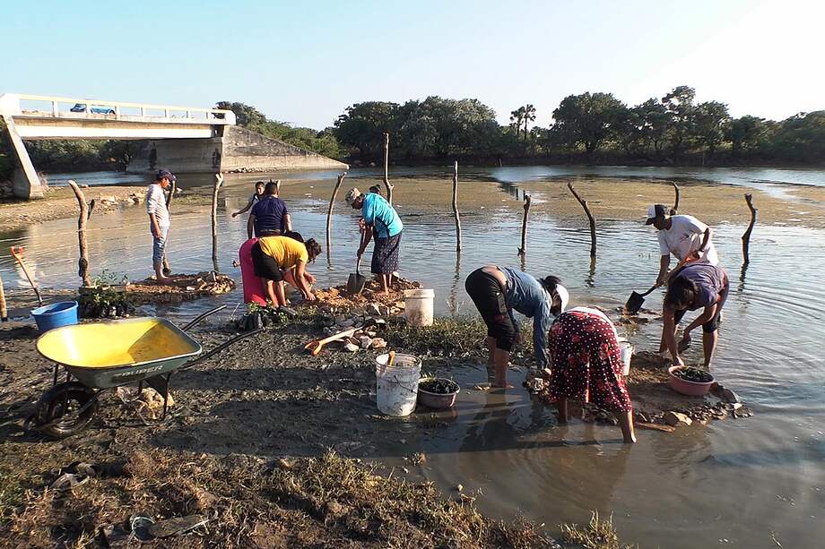 Imagen de referencia. Indígenas ikoots reforestan un mangle, el 27 de diciembre de 2022, en el municipio San Mateo del Mar, en Oaxaca (México). Indígenas ikoots de San Mateo del Mar, en el sureño estado mexicano de Oaxaca, decidieron reforestar un mangle para reconectarse con la naturaleza y paliar los efectos del clima caluroso y la escasez en la pesca. EFE/José de Jesús Córtez