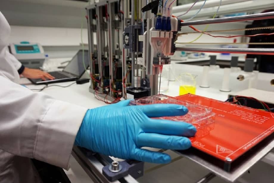La piel puede ser utilizada para trasplantes o pruebas en laboratorio. / UC3M