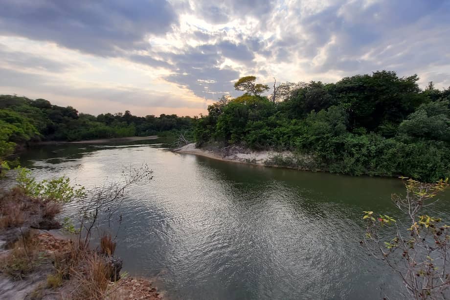 Imágenes de las nuevas áreas protegidas en la Orinoquía.