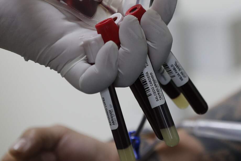 Convertirse en un donante voluntario de sangre regular es un paso simple pero desinteresado que todos pueden tomar para fortalecer sus comunidades, insistió la OMS. EFE/ José Méndez