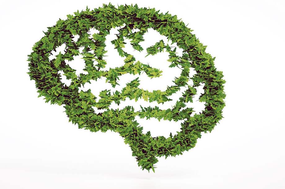 Educación con alma verde